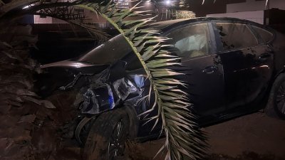 Se estampa contra una palmera