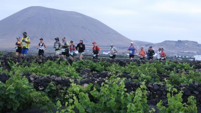 Wine Run, 2026