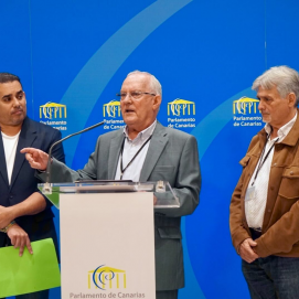 Domingo Delgado interviene en el parlamento de Canarias junto a Yoné Caraballo y Servando Pérez. NC.