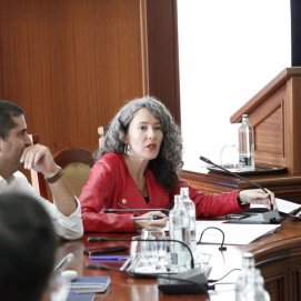 Ariagona González, portavoz del PSOE