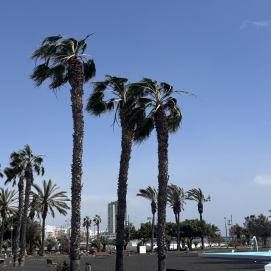 Viento en Lanzarote. Foto: Michael Valdivia