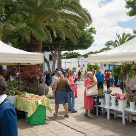 Mercado en Arrecife, zona comercial abierta. Ayudas. Comercio.