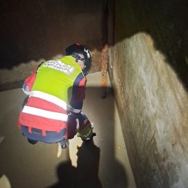 Bomberos rescatan a un animal en un aljibe