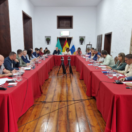Pleno del Ayuntamiento de Teguise