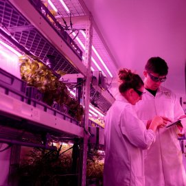 Empresa agrícola altamente tecnológica. Competitividad.
