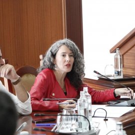 Ariagona González y Benjamín Perdomo en el Pleno.