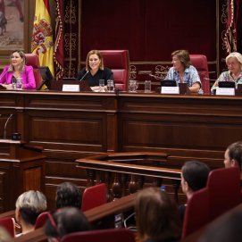 Sesión en el Parlamento de Canarias