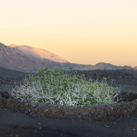 Parque Nacional de Timanfaya