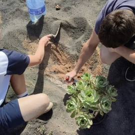Dos jóvenes realizando una plantación en uno de los solares. Foto: Arrecife Natura