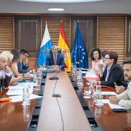 Consejo de Gobierno de Canarias.