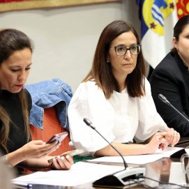 Nueva Canarias-Bloque Canarista (NC-BC)