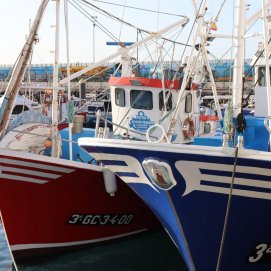 Barcos de pesca en Canarias