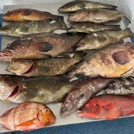 Pescados incautados por la Guardia Civil en el Archipiélago Chinijo