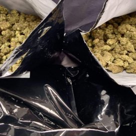 Droga incautada en el Aeropuerto de Lanzarote.