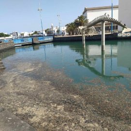 Charco de San Ginés. Foto: Cedida.