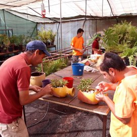 Formación y tareas de jardinería en Adislan