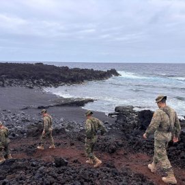 Brigada "Canarias"