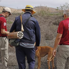 Agentes de Medioambiente Cabildo junto a un perro y a un cazador en Haría.