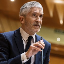 El ministro Fernando Grande-Marlaska. Foto: RTVE