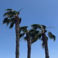 Viento en Lanzarote. Foto: Michael Valdivia