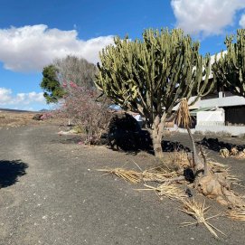 Imagen de una de las zonas verdes de Costa Teguise