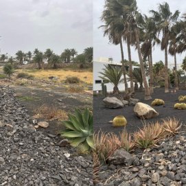 Antes y después de los jardines del barranco del Hurón