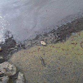 Restos de los presuntos vertidos en Punta Mujeres