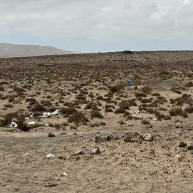 Basura en El Jable de Famara. Foto: Andrea Domínguez.