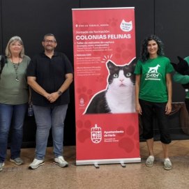 Jornada sobre la gestión ética de las colonias felinas