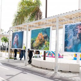 Arrecife inauguró en el Reducto esta exposición Gritos del Azul para sensibilizar sobre el cuidado de las playas y el litoral (1)