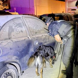 La Policía Local de Arrecife utiliza perros adiestrados para combatir la venta de drogas (1)