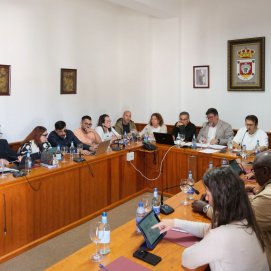 Pleno del Ayuntamiento de San Bartolomé