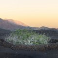 Parque Nacional de Timanfaya