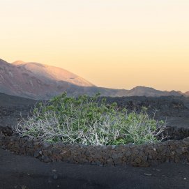 Parque Nacional de Timanfaya
