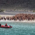 Travesia a Nado el RIO 2025  (12)