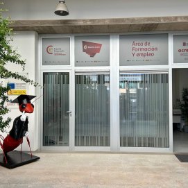 Área de Empleo de la Cámara de Lanzarote.