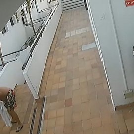 Momento en el que el hombre mata al gato