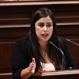 Alicia Pérez, diputada socialista