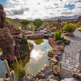 Jardín de Cactus 