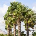 Viento en Lanzarote. Foto: Juan Mateos.