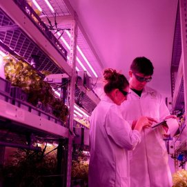 Empresa agrícola con fuerte implantación de I+D+i