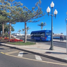 Arrecife recibirá muy pronto nuevas guaguas y convoca la Bolsa de Empleo para contratar nuevos conductores