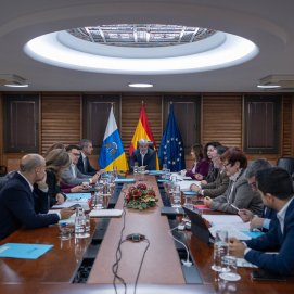 Consejo de Gobierno de Canarias este 15 de diciembre.