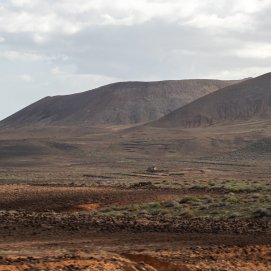 Lanzarote brota tras el paso de la lluvia. Foto: Andrea Domínguez.