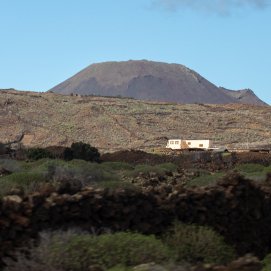 Lanzarote se pinta de verde tras el paso de las últimas lluvias. Foto: Andrea Domínguez.