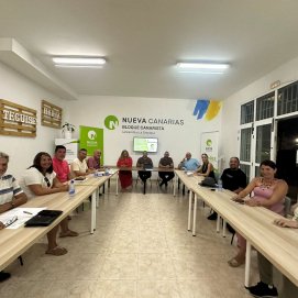 Ejecutiva Insular de NC