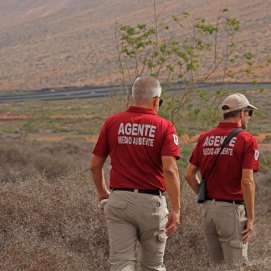 Agentes Medio Ambiente