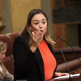 La diputada y portavoz de las y los socialistas de Canarias en las Cortes Generales, Dolores Corujo