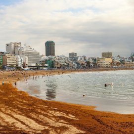 Las Palmas de Gran Canaria. Ayudas al alquiler.