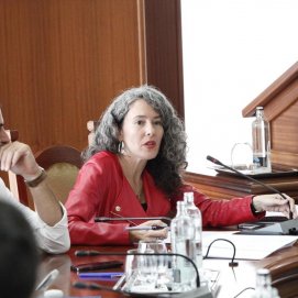 Ariagona González y Benjamín Perdomo en el Pleno